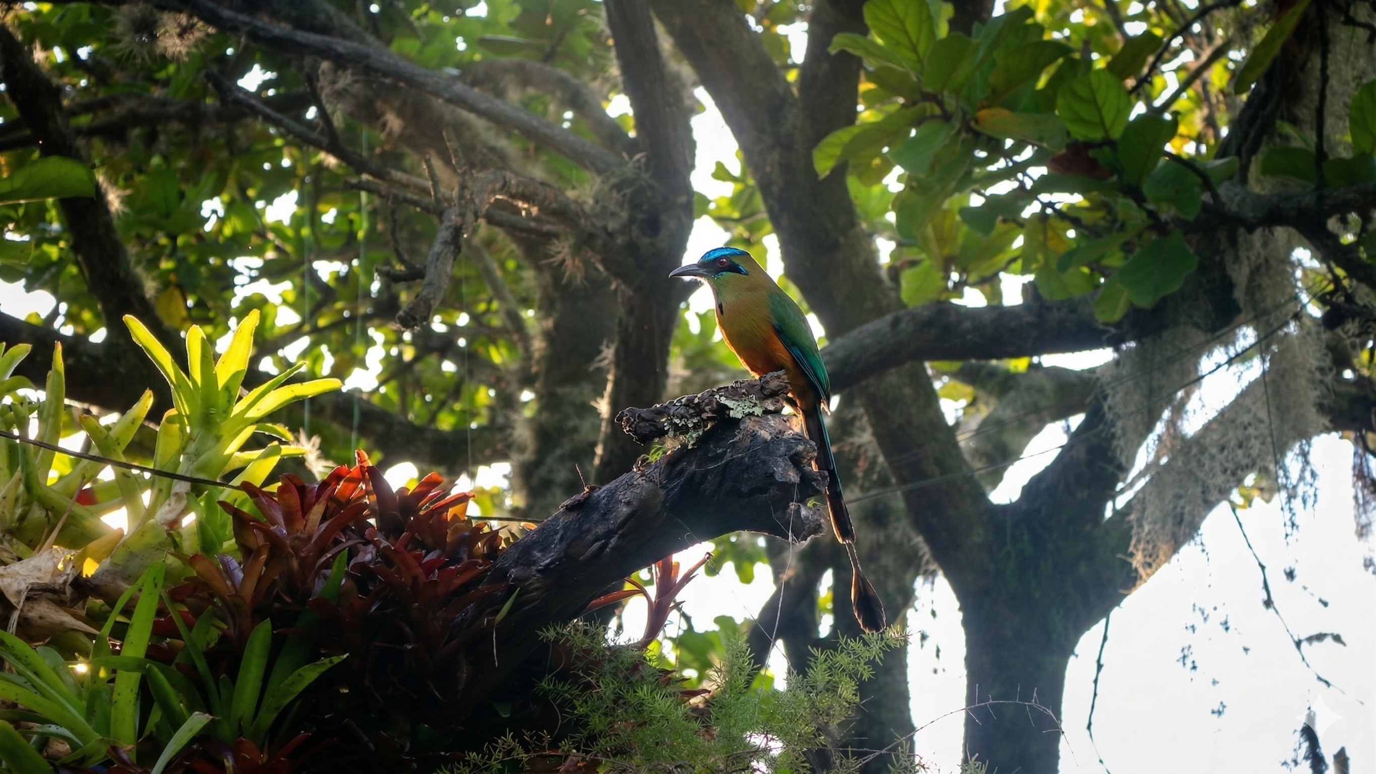 Experiencia Cultural